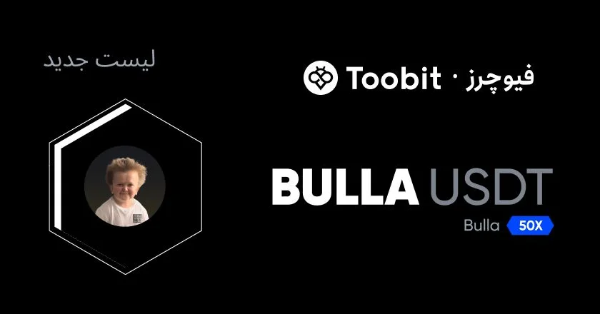 معرفی پروژه BULLA