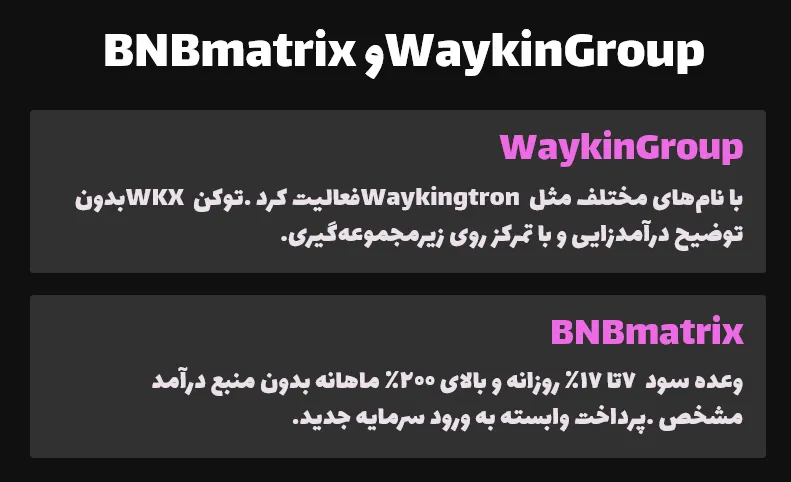 WaykinGroup و BNBmatrix