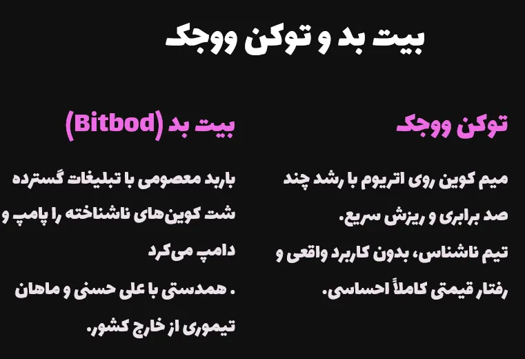 بیت بد و توکن ووجک
