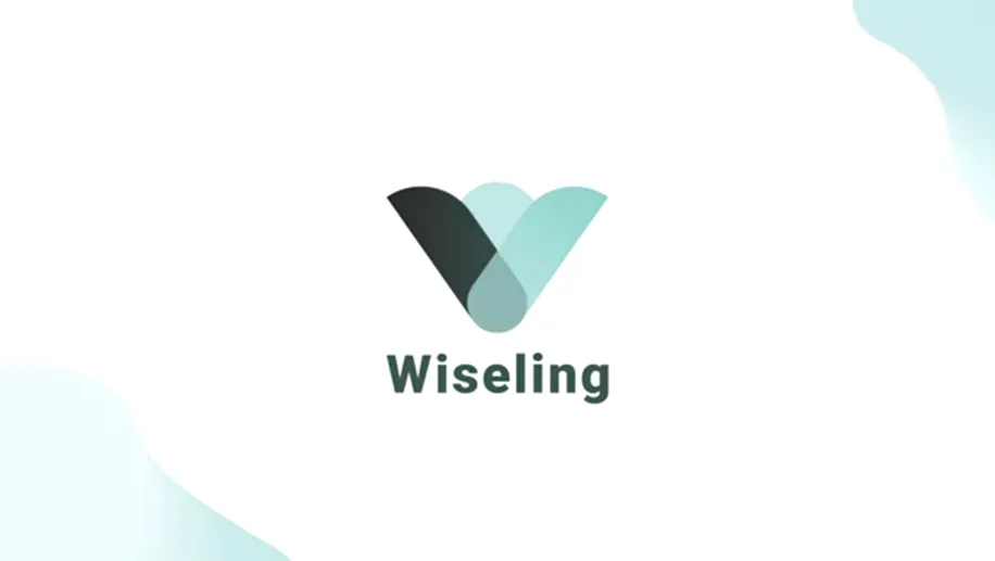وایزلینگ Wiseling، طرح پانزی