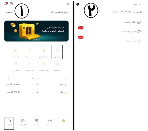 واریز و برداشت ریالی در پلتفرم داریک