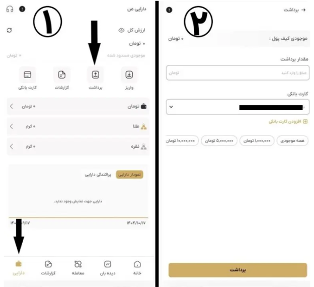 واریز و برداشت ریالی در پلتفرم داریک