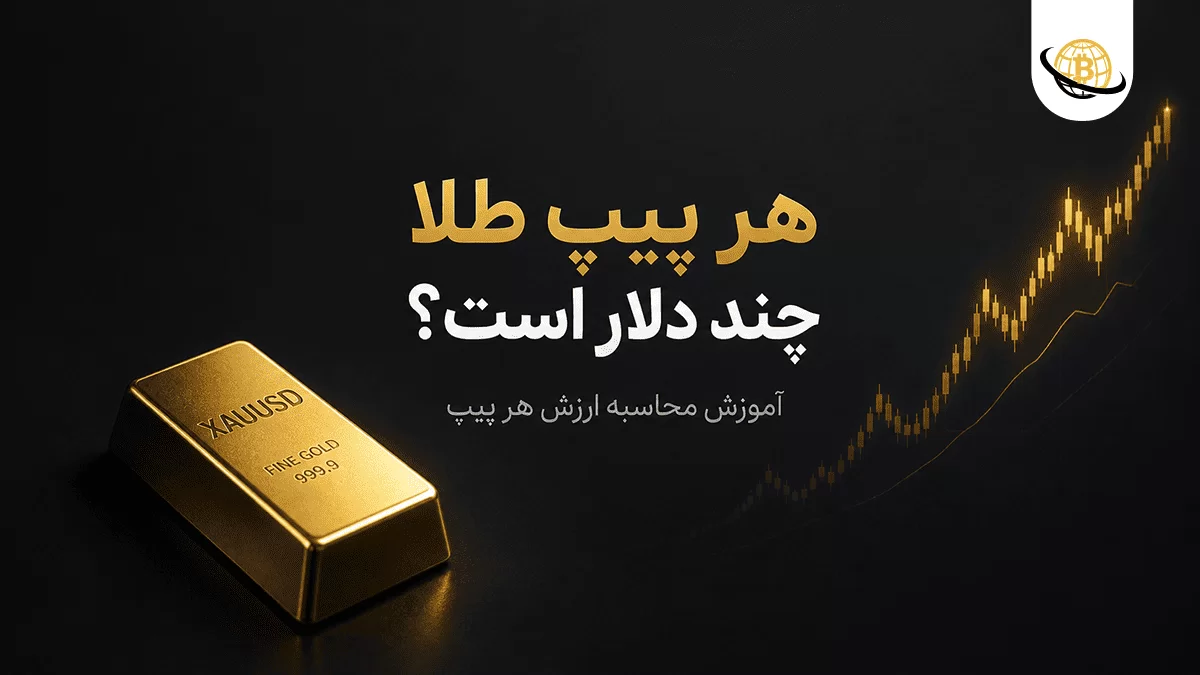 هر پیپ طلا چند دلار است