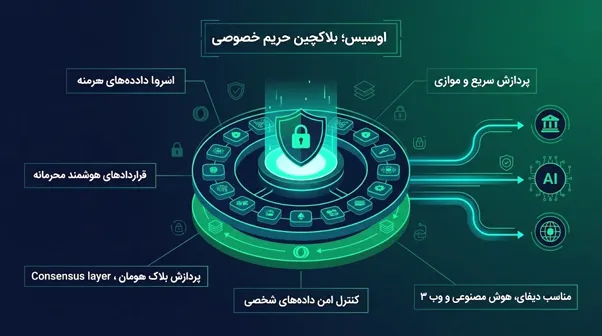 شبکه اوسیس یا Oasis Network (ROSE)