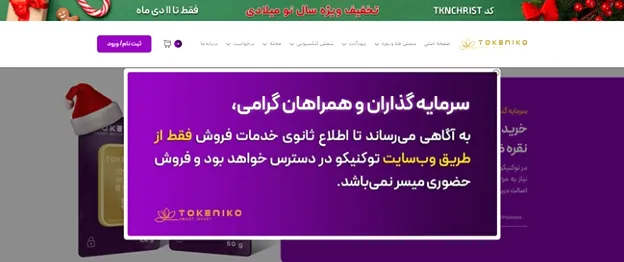 پشتیبانی سایت توکنیکو