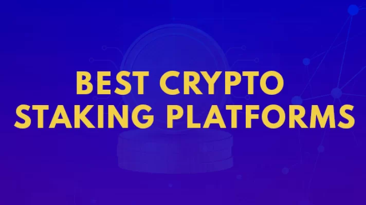 بهترین کیف پول برای استیکینگ