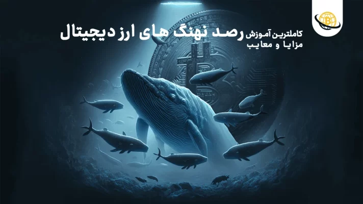 آموزش ردیابی معاملات نهنگ ها